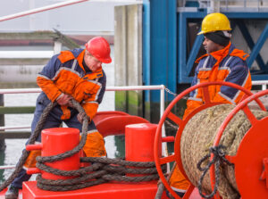 crew working on cruise ship – maritime industry insights
